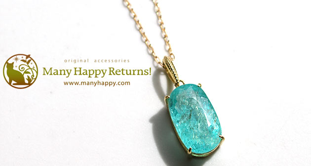 �p���[�X�g�[���W���G���[