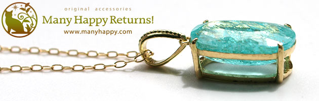 �p���[�X�g�[���W���G���[