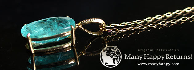 �p���[�X�g�[���W���G���[