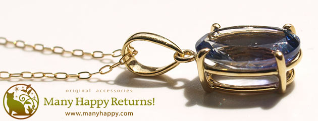 �p���[�X�g�[���W���G���[