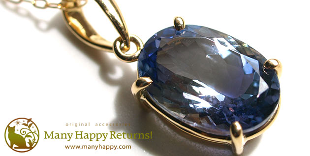 �p���[�X�g�[���W���G���[