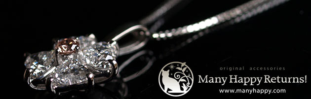 �p���[�X�g�[���W���G���[