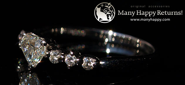 �p���[�X�g�[���W���G���[