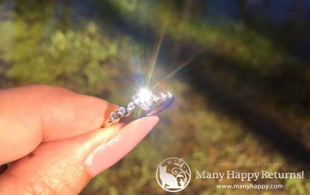 �p���[�X�g�[���W���G���[