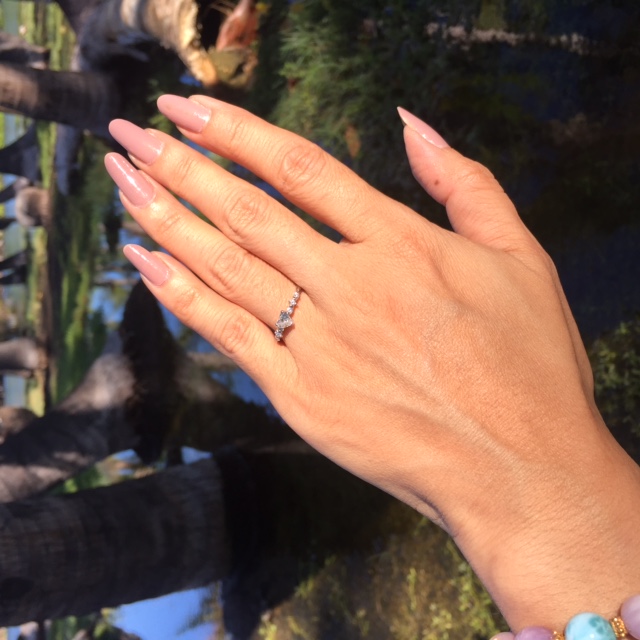 �p���[�X�g�[���W���G���[