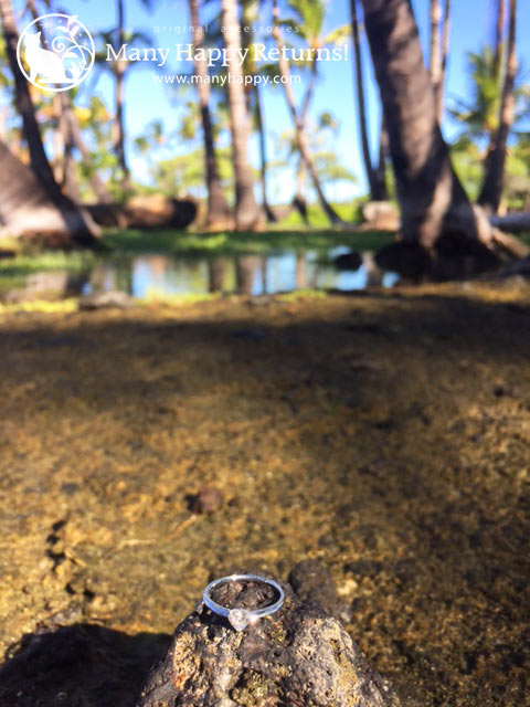 �p���[�X�g�[���W���G���[