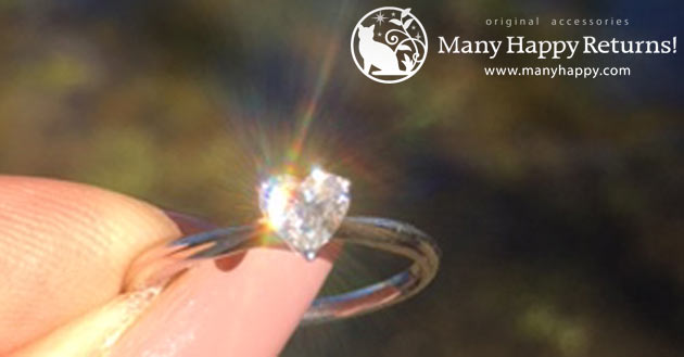 �p���[�X�g�[���W���G���[