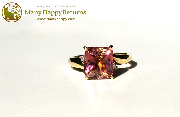 �p���[�X�g�[�������O