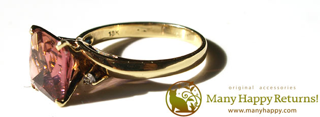 �p���[�X�g�[���W���G���[