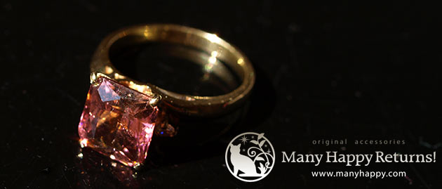 �p���[�X�g�[���W���G���[