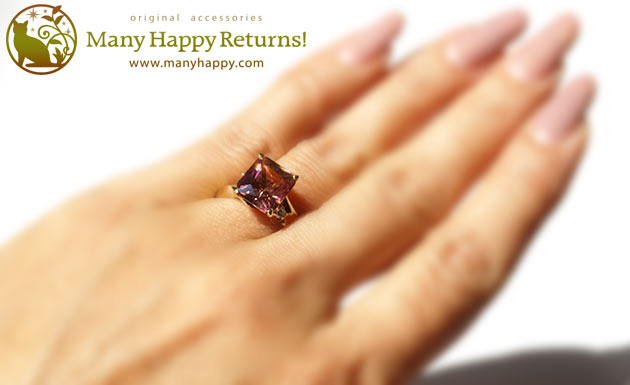 �p���[�X�g�[���W���G���[