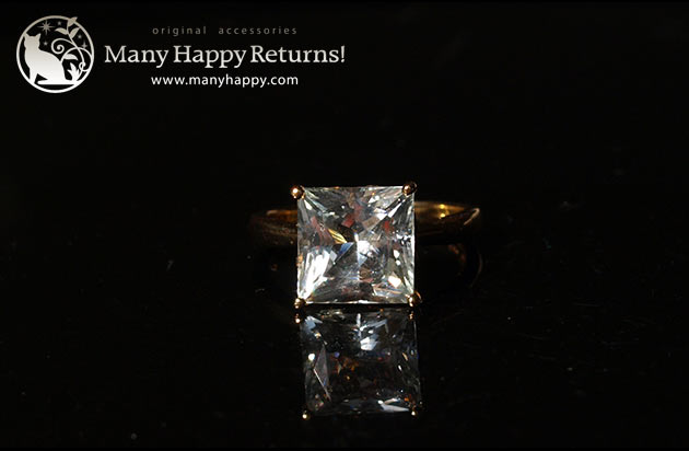 �p���[�X�g�[�������O