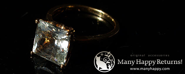 �p���[�X�g�[���W���G���[