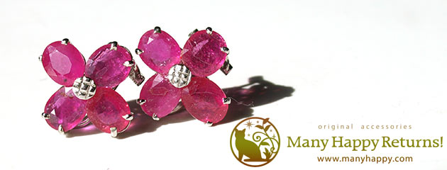 �p���[�X�g�[���W���G���[