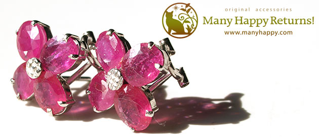 �p���[�X�g�[���W���G���[