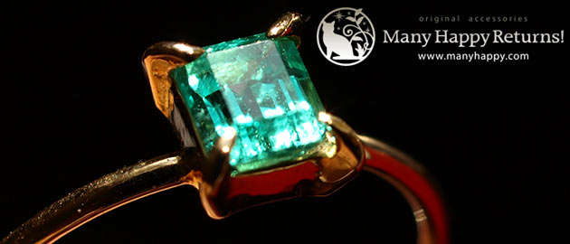 �p���[�X�g�[���W���G���[