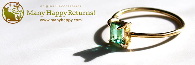 �p���[�X�g�[���W���G���[