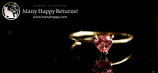 �p���[�X�g�[���W���G���[