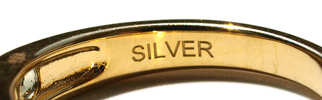 �p���[�X�g�[���W���G���[