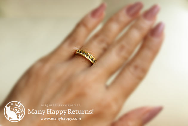 �p���[�X�g�[���W���G���[