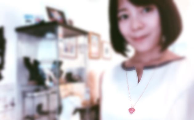 �p���[�X�g�[���W���G���[