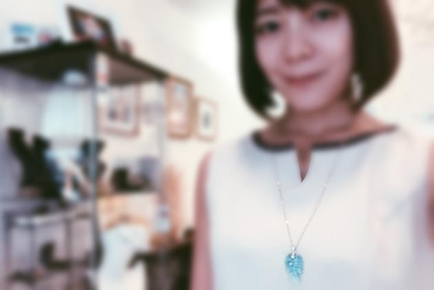 �p���[�X�g�[���W���G���[