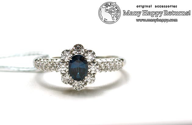 �p���[�X�g�[���W���G���[