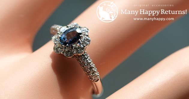 �p���[�X�g�[���W���G���[