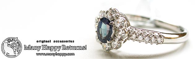 �p���[�X�g�[���W���G���[