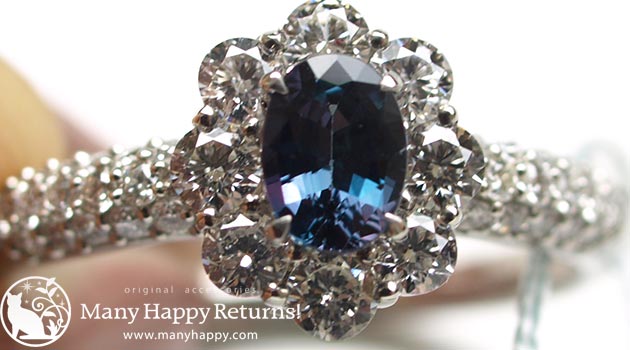 �p���[�X�g�[���W���G���[