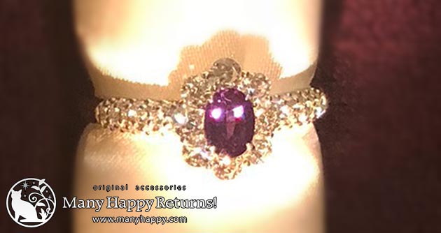 �p���[�X�g�[���W���G���[