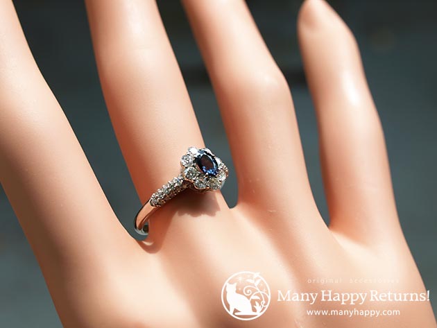 �p���[�X�g�[���W���G���[