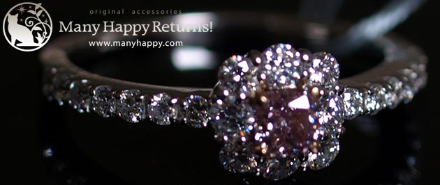 �p���[�X�g�[���W���G���[