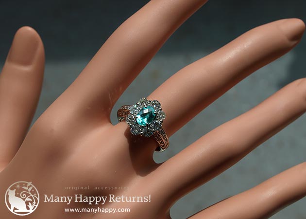 �p���[�X�g�[���W���G���[