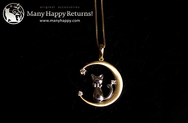 �p���[�X�g�[���W���G���[