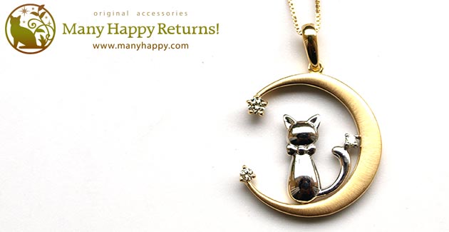 �p���[�X�g�[���W���G���[