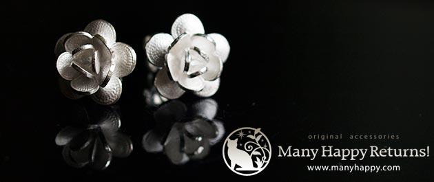 �p���[�X�g�[���W���G���[