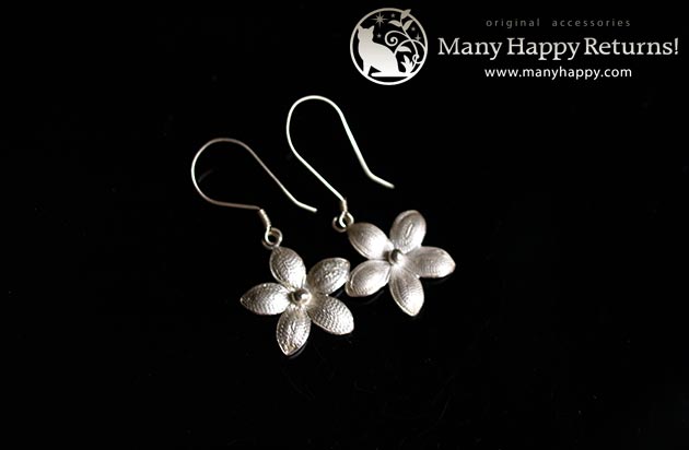 �p���[�X�g�[���W���G���[