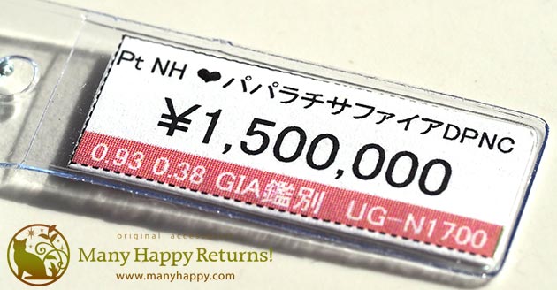 �p���[�X�g�[���W���G���[