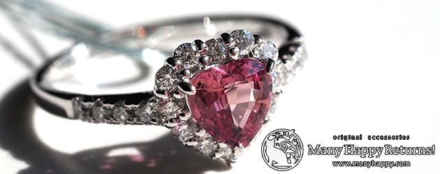 �p���[�X�g�[���W���G���[