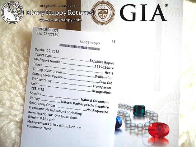 �p���[�X�g�[���W���G���[