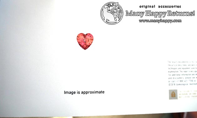 �p���[�X�g�[���W���G���[