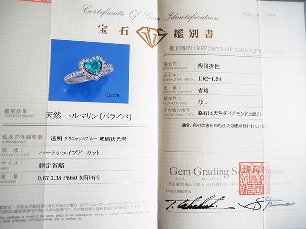 �p���[�X�g�[���W���G���[