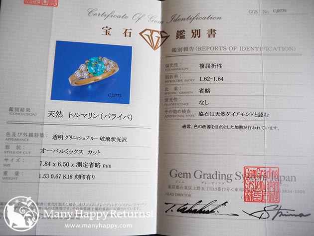 �p���[�X�g�[���W���G���[