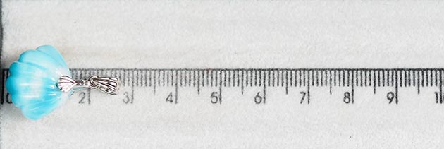 �p���[�X�g�[���W���G���[