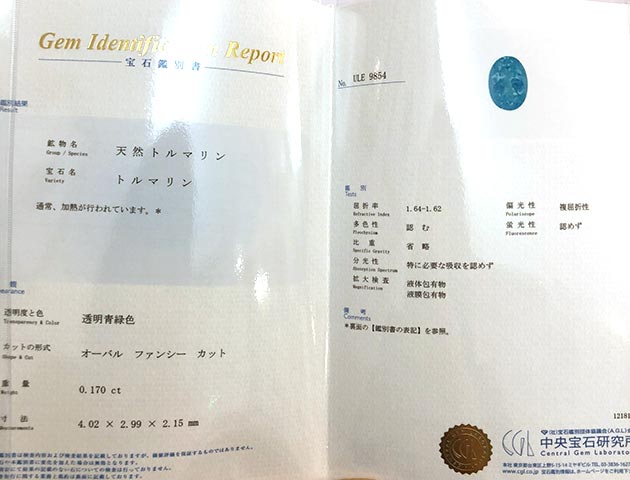 �p���[�X�g�[���W���G���[