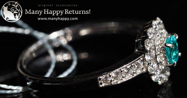 �p���[�X�g�[���W���G���[