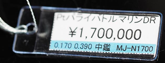 �p���[�X�g�[���W���G���[