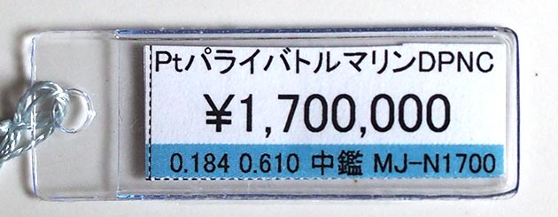 �p���[�X�g�[���W���G���[