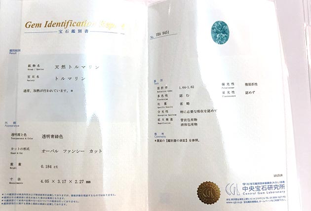 �p���[�X�g�[���W���G���[